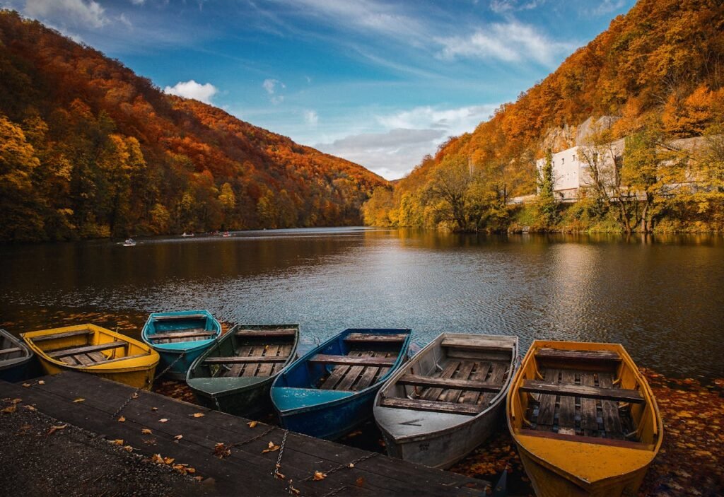 Six Assorted Colored Row Boats